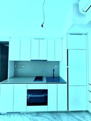 The Landmark (D3), Condominium #511099001